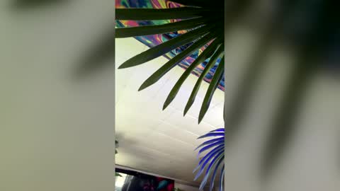 Snapshot of seanplushouse chatting on 28, 2, 2026 seanplushouse online show from 28, 2, 2026