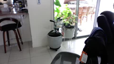 Snapshot of sebastianalll chatting on 30, 12, 2024 sebastianalll online show from 30, 12, 2024