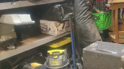 Seeker online show from 1, 1, 2025