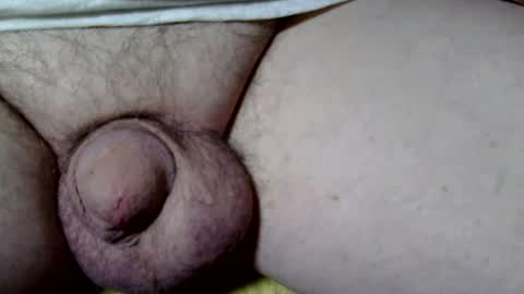 seeus24 online show from 2, 11, 2025