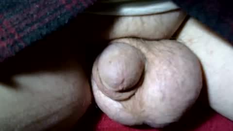 seeus24 online show from 10, 11, 2025