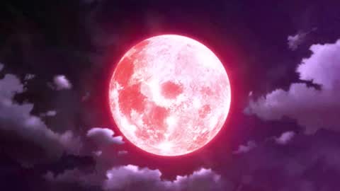 Selene G  online show from 26, 3, 2026