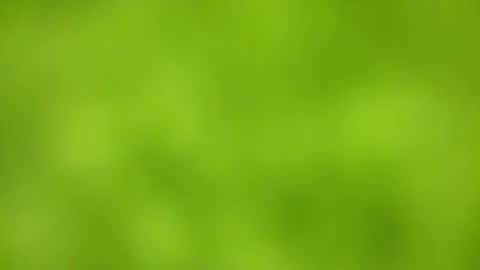 Snapshot of sens3439 chatting on 24, 11, 2025 sens3439 online show from 24, 11, 2025