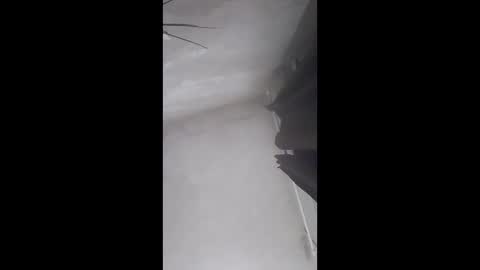 sergiobianchi977 online show from 22, 4, 2026