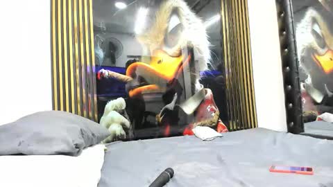 Snapshot of sexy78michell chatting on 14, 2, 2026 sexy78michell online show from 14, 2, 2026