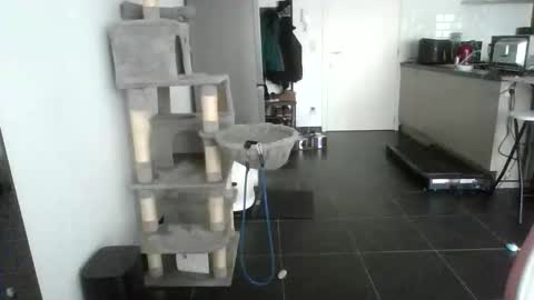 sexy53 online show from 17, 2, 2026