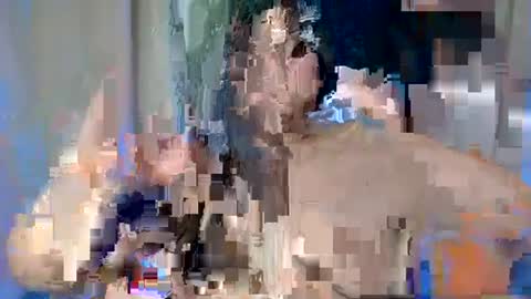 ALFREA online show from 17, 2, 2025