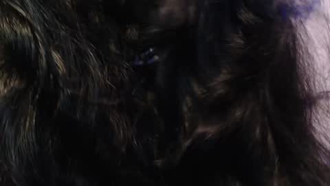    online show from 15, 1, 2025