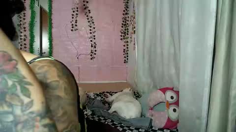 sexy lolas online show from 8, 10, 2025