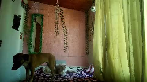 Snapshot of sexy_lolas chatting on 17, 7, 2026 sexy lolas online show from 17, 7, 2026