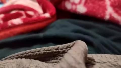 Sexyd online show from 1, 12, 2024