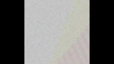 Possum online show from 30, 9, 2025