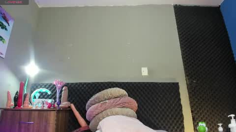 shadia online show from 13, 6, 2026