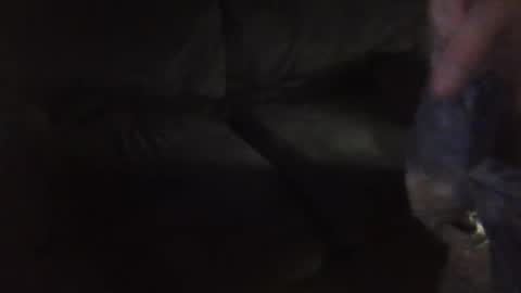 Snapshot of shae6969nme chatting on 11, 3, 2026 shae6969nme online show from 11, 3, 2026