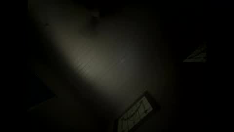 Snapshot of shaggydog774112 chatting on 10, 12, 2024 shaggydog774112 online show from 10, 12, 2024