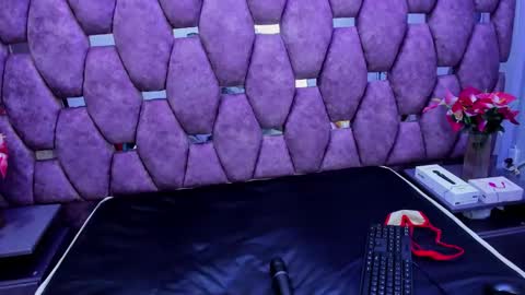 Snapshot of shanthal_fox_ chatting on 29, 5, 2026 shanthal online show from 29, 5, 2026