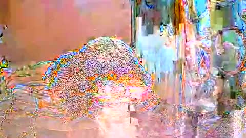 ShanyaRise online show from 14, 5, 2026