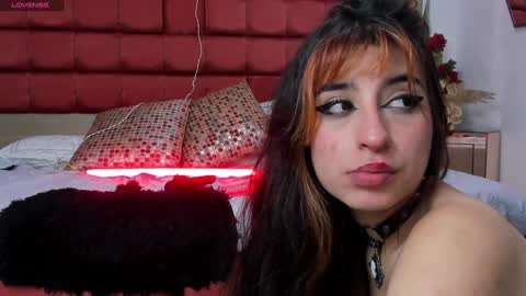 Shego  online show from 28, 12, 2024