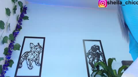 Snapshot of sheila_bigcok chatting on 25, 2, 2025 SHEILA  online show from 25, 2, 2025