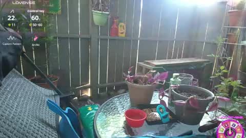 Snapshot of sheilyn_smith chatting on 2, 6, 2026 sheilyn_smith online show from 2, 6, 2026