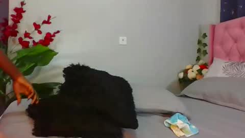 shelia420715 online show from 9, 4, 2026