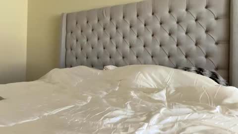 Snapshot of shell2822 chatting on 27, 5, 2026 shell2822 online show from 27, 5, 2026