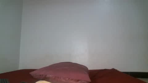 Snapshot of shiro254 chatting on 29, 4, 2026 Shi-ro online show from 29, 4, 2026