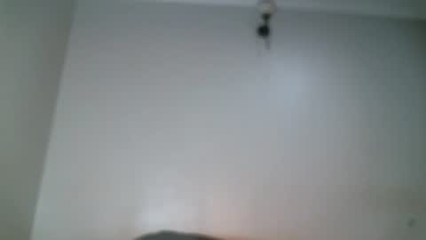 Snapshot of shiro254 chatting on 27, 7, 2026 Shi-ro online show from 27, 7, 2026