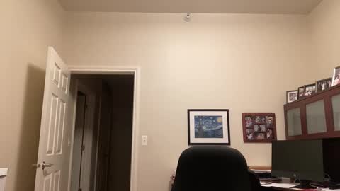 Chicago Guy online show from 12, 1, 2025