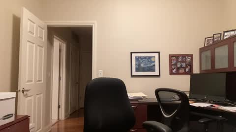 Chicago Guy online show from 16, 7, 2026