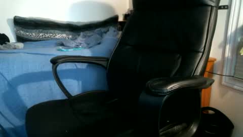 shyboyhugecum2020 online show from 25, 5, 2026