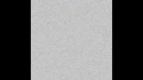 Shydad online show from 5, 3, 2026