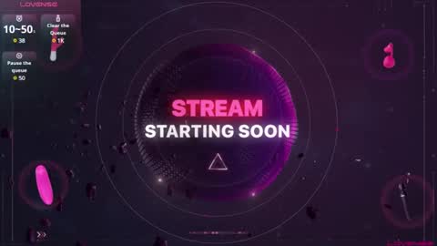 Snapshot of sideswitch chatting on 13, 1, 2025 sideswitch online show from 13, 1, 2025