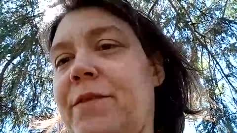 Snapshot of sigbver chatting on 23, 4, 2026 Bush with a class 3 rating online show from 23, 4, 2026