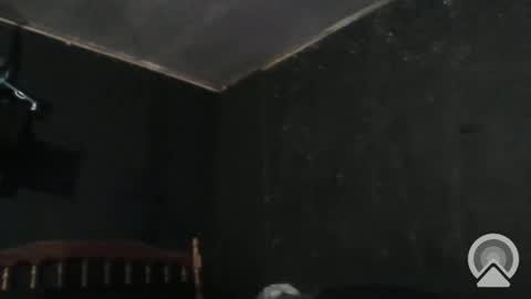 Cdub625 online show from 29, 12, 2024