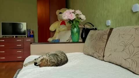 Snapshot of silviasexyy chatting on 30, 5, 2026 miss Anna online show from 30, 5, 2026