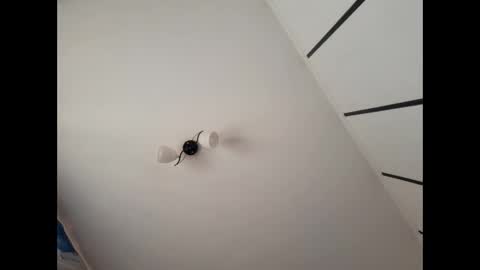 simpledi online show from 10, 3, 2025