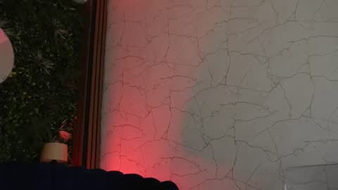 Snapshot of sisi_von_dee chatting on 27, 6, 2026 Dee online show from 27, 6, 2026