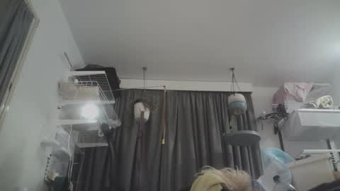 RESPONDS WELL TO ... online show from 8, 3, 2026