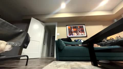 sissyinheelsbbc online show from 9, 11, 2025