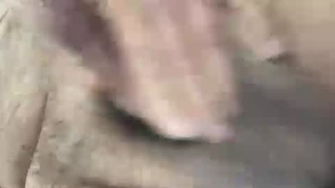 skima48 online show from 14, 2, 2026