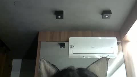 skinnykittencam online show from 20, 10, 2025
