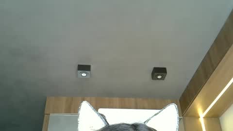 skinnykittencam online show from 20, 10, 2025
