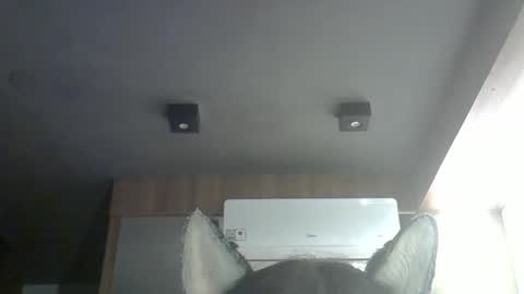 Snapshot of skinnykittencam chatting on 14, 3, 2026 skinnykittencam online show from 14, 3, 2026