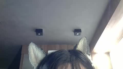Snapshot of skinnykittencam chatting on 14, 3, 2026 skinnykittencam online show from 14, 3, 2026