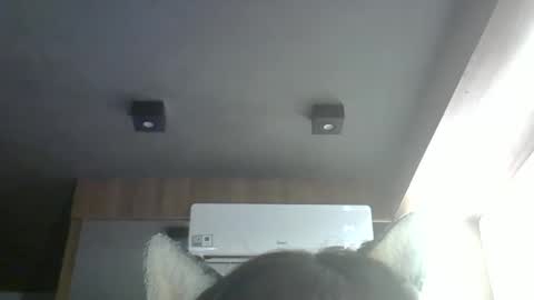 Snapshot of skinnykittencam chatting on 24, 3, 2026 skinnykittencam online show from 24, 3, 2026
