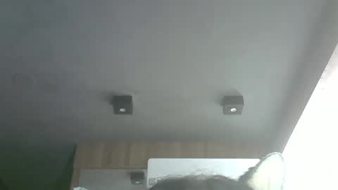 Snapshot of skinnykittencam chatting on 29, 3, 2026 skinnykittencam online show from 29, 3, 2026