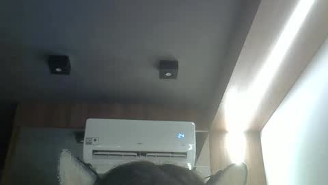 Snapshot of skinnykittencam chatting on 8, 4, 2026 skinnykittencam online show from 8, 4, 2026