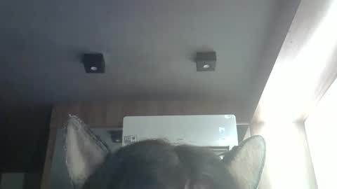 Snapshot of skinnykittencam chatting on 9, 4, 2026 skinnykittencam online show from 9, 4, 2026