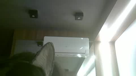 Snapshot of skinnykittencam chatting on 3, 6, 2026 skinnykittencam online show from 3, 6, 2026